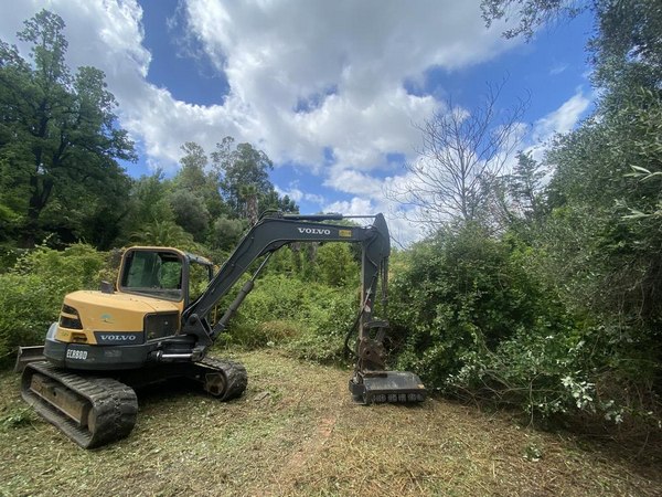 Paysagiste Mougins MANZONE