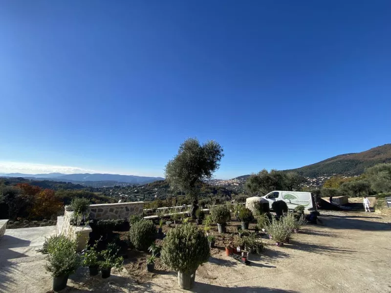 Création de jardin, Mougins, MANZONE